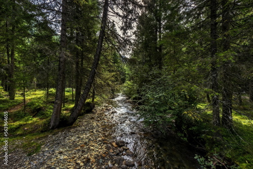 creek in the woods, Lake Etrachsee, Styria, Austria