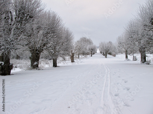 Winter landscape with snow and a footpath in an avenue towards a jetty in Lake Mälaren in Sweden. 