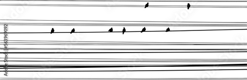 Shadows of electric wires with birds perched on wires.
