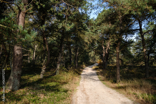 Nature reserve Sallandse Heuvelrug