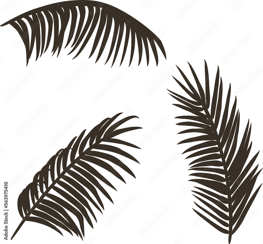 Obraz premium Set of summer surfing palm branches in different angles