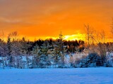 sunset in the forest, winter, landscape, snow, 