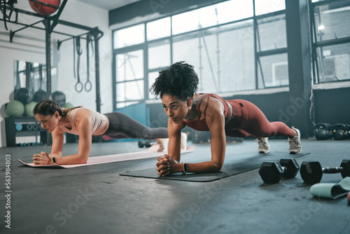 Women, plank and gym fitness friends with cardio exercise, workout and body wellness. Motivation, woman focus and challenge of people in sports training and athlete class exercising for health