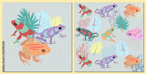 multi colored frogs with natural ornaments