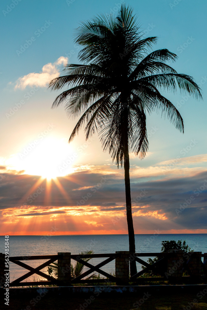 Obraz premium Brazilian beach