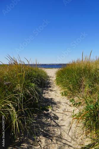Trail through the Seagrass to the Beach © PT Hamilton