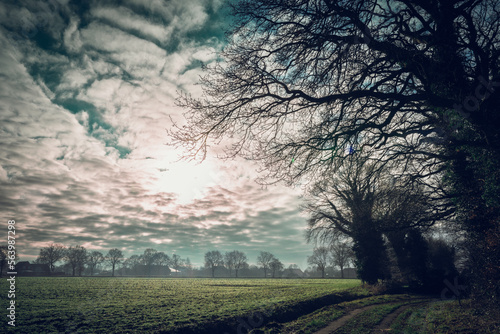 Ostfriesland 001