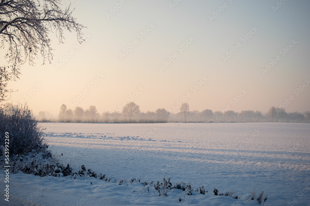 Naklejka premium Winterlandschaft mit Bäumen