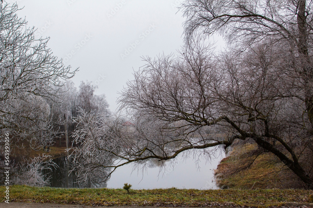 Winter landscape in Moldova on a cloudy day.