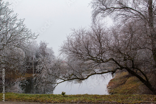 Obraz na płótnie Winter landscape in Moldova on a cloudy day. w salonie