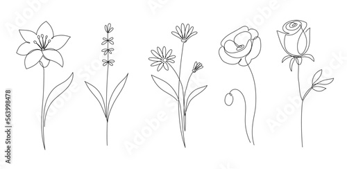 Flower set continuous outline style. Decoration flower, botanical floral element, blossom one line art for wedding, spring concept background. Vector illustration