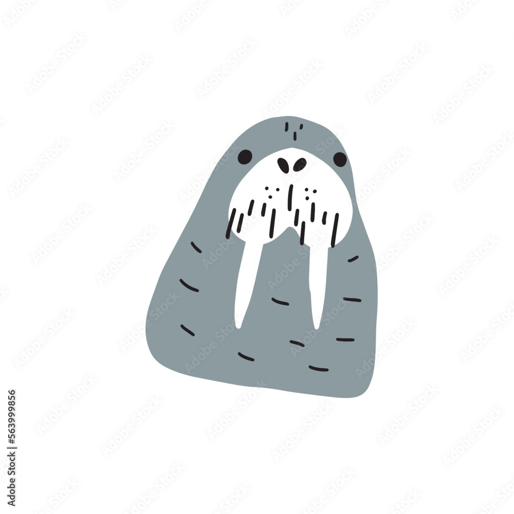 Cute walrus in Scandinavian style on a white background. Vector hand drawn kids illustration. Sea ocean. Underwater world Cute walrus in Scandinavian style on a white background. Vector hand drawn kids illustration. Sea ocean. Underwater world