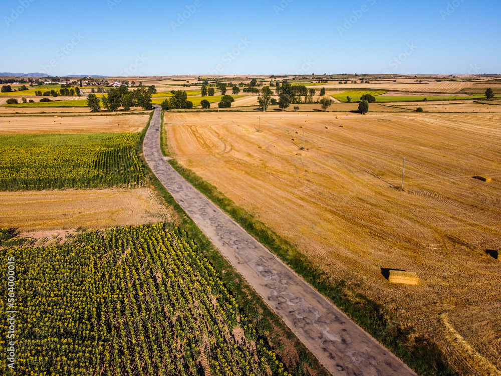 Aerial view of country road through agricultural fields during summer. Burgos, Castilla Leon. Drone aerial view
