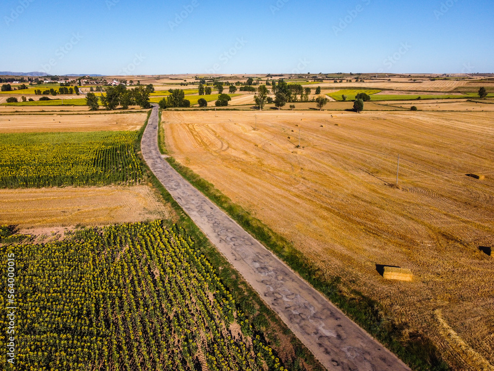 Aerial view of country road through agricultural fields during summer. Burgos, Castilla Leon. Drone aerial view Aerial view of country road through agricultural fields during summer. Burgos, Castilla Leon. Drone aerial view