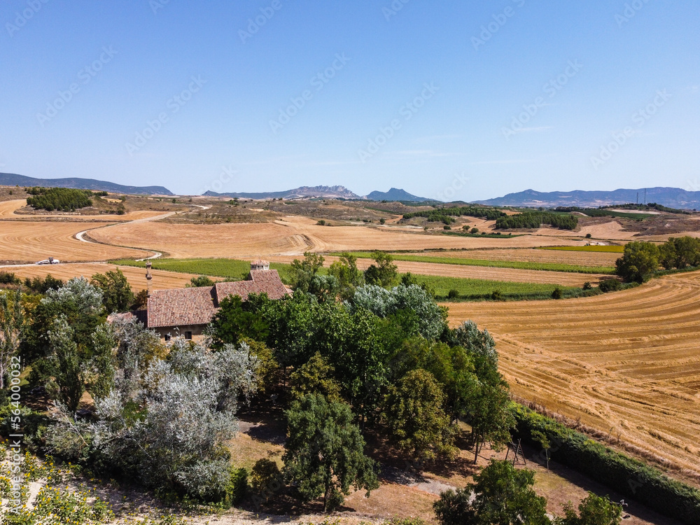 Aerial view of agricultural fields during summer. Burgos, Castilla Leon. Drone aerial view