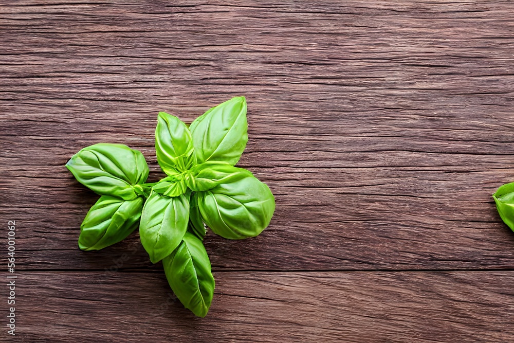fresh pesto basil on table fresh pesto basil on table