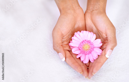 Beauty  flower and spa with hands of woman with mockup for skincare  wellness or natural cosmetics. Spring  peace and floral with girl holding fresh daisy in salon for treatment  blossom or self care