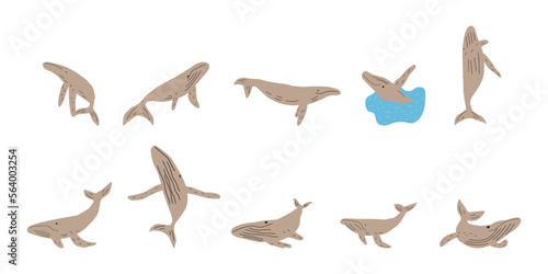 Whale, ocean animal. Sealife in Scandinavian style on a white background. Great for poster, card, apparel print. Vector illustration