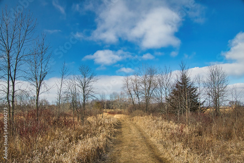 Beneath a partly cloudy blue sky on a snowless Winter day in Wisconsin, a hiking trail passes through a grassy field and a forest of bare trees at Lion's Den Gorge, near Grafton,