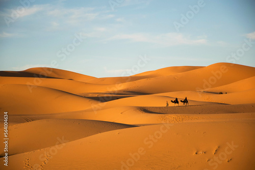 Camel caravan in the desert of merzouga. Golden sand dunes. Tourists on camels. Sahara. Morocco desert. Adventure exploring nature 