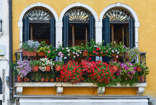 Balcony of an old palace with three arched window doors and flowering plants of mandevilla and petunia in summer, Venice, Italy