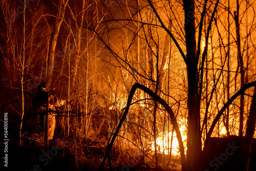 foci of a forest fire close-up