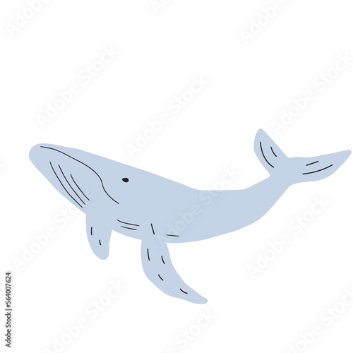 Whale, ocean animal. Sealife in Scandinavian style on a white background. Great for poster, card, apparel print. Vector illustration