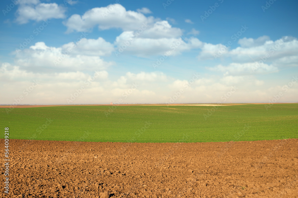 Plowed and green wheat field landscapes