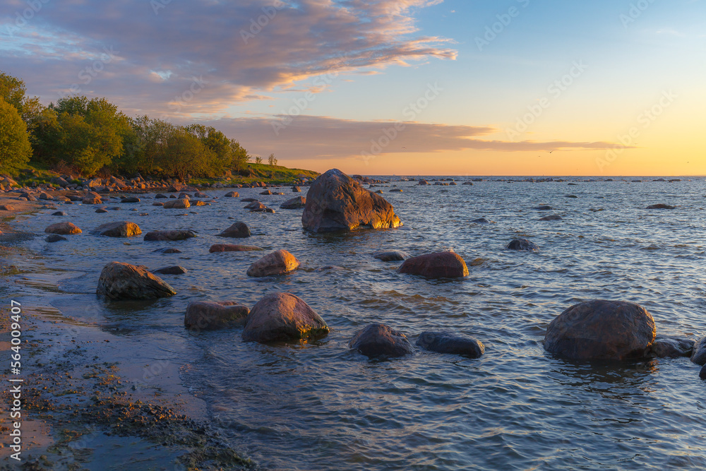 Rocky shore with stones sinking in the sea water. Sunset, orange light, Estonia.
