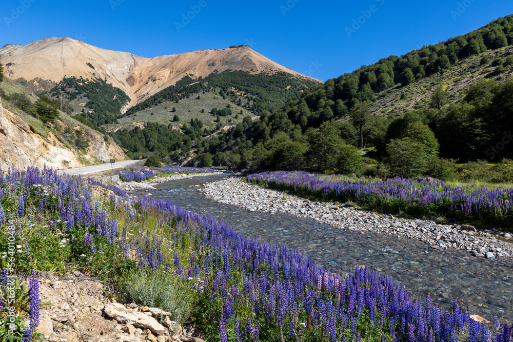 Purple plants along a crystal clear creek while driving the Carretera Austral in Patagonia, Chile