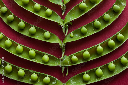 Fotografiet Green pea pods laid out on a red background