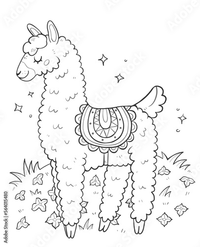Antistress coloring book with cute llama. Vector outline illustration of a cute coloring page with llamas.