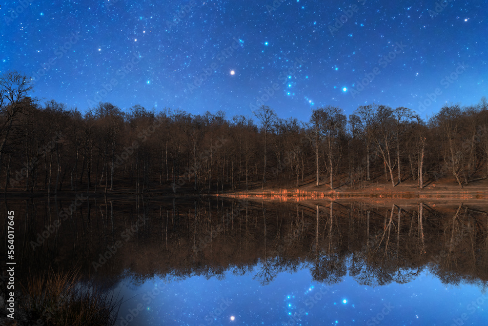Beautiful night forest landscpe with reflection trees in water and ...