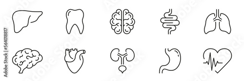 Human Internal Organ Anatomy Line Icon Set. Liver, Tooth, Brain, Stomach, Heart, Lung, Urinary System, Intestine Linear Pictogram. Healthcare Sign. Editable Stroke. Isolated Vector Illustration