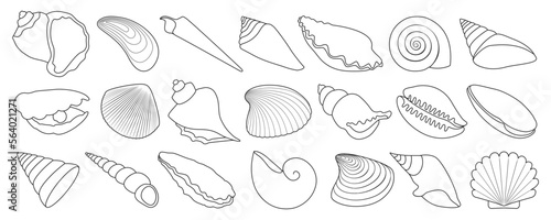 Shell vector outline set icon. Vector illustration set shell sea. Isolated outline icon seashell on white background .