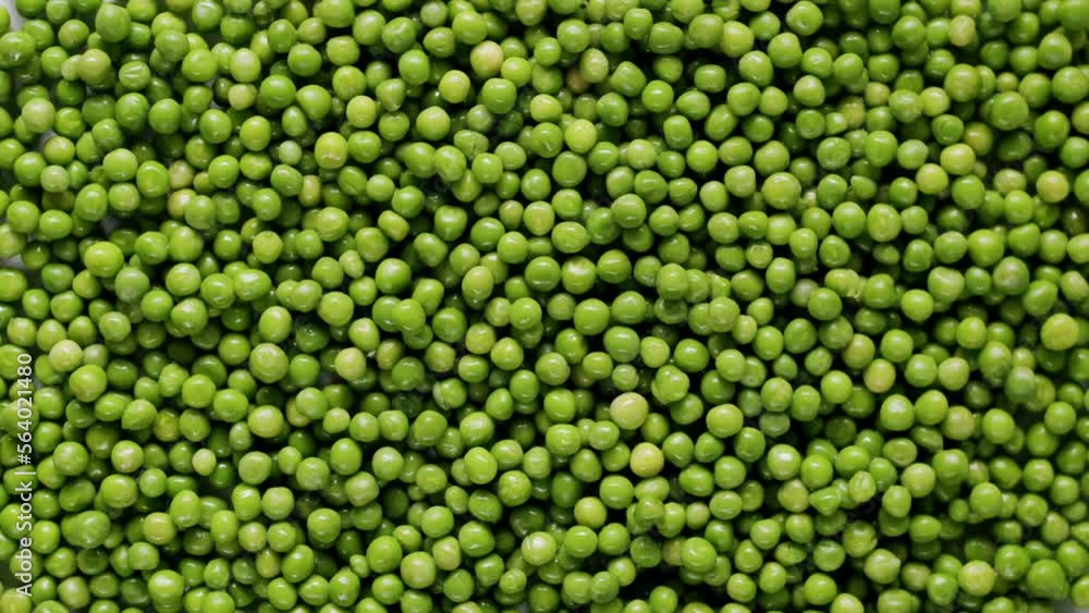 Some peas falling from the top in a surface full of many ripe green peas. Slow motion. Fresh green pea on green texture surface. Some peas falling from the top in a surface full of many ripe green peas. Slow motion. Fresh green pea on green texture surface.