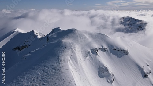 Cima Volcán Puyehue photo