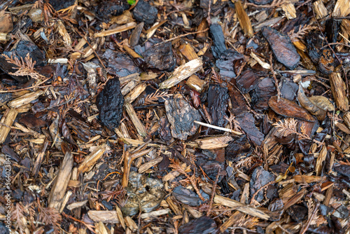 Mulch