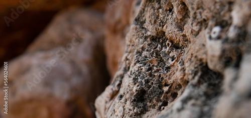 natural eco background. rock texture in the foreground closeup with blurred background