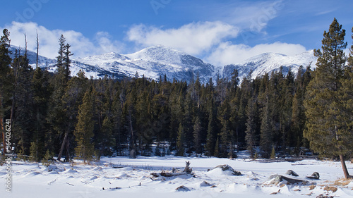 Trees in front of beautiful mountains with snow in the Bighorn Mountains of Wyoming on a sunny winter day.