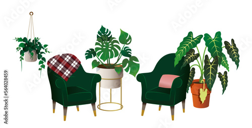 Armchair and home plants