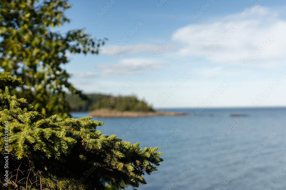 Branch with blurry background of Lake Superior