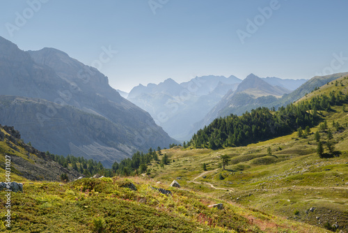 Randonn  e au sommet du Mont Thabor dans les Alpes fran  aises en   t   