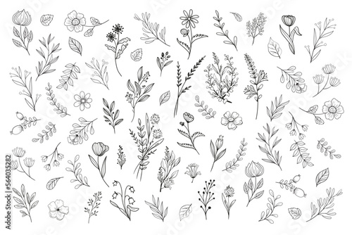 Wild Flower Illustrations - Flower Vector Graphics - Floral Illustration - Cutting Files - Vector Set - Leaf - Leaves - Collection - Nature - Transparent - Isolated - Illustrator - EPS SVG PNG JPG photo