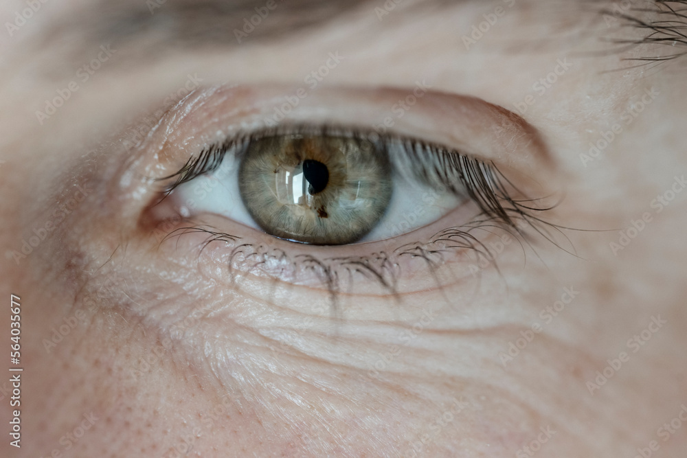 Fototapeta premium Männerauge, grün