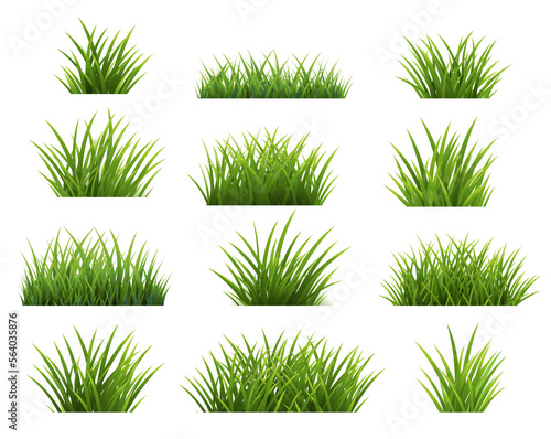 Green Grass Borders Collection Isolated White Background
