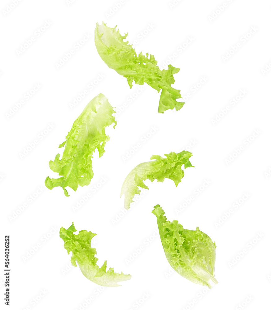 Fresh salad green lettuce leaves falling in the air isolated on transparent background. PNG - obrazy, fototapety, plakaty 