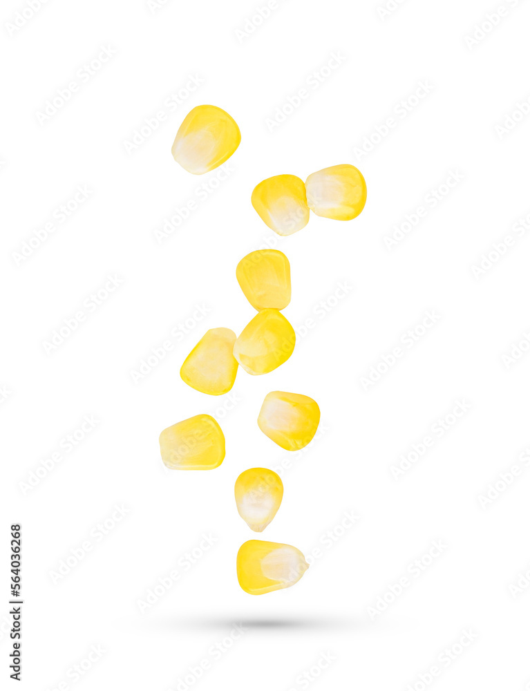 Corn seeds falling in the air isolated on transparent background. PNG Corn seeds falling in the air isolated on transparent background. PNG