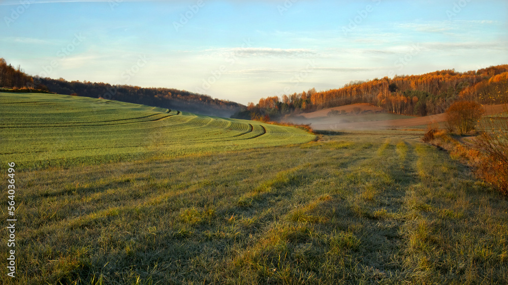 Autumn landscape,  Autumn forest on the hills. fields and meadow in Roztocze Poland.