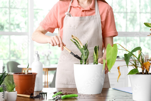 Woman with shovel and wilted houseplant at home